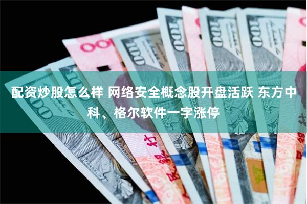 配资炒股怎么样 网络安全概念股开盘活跃 东方中科、格尔软件一字涨停
