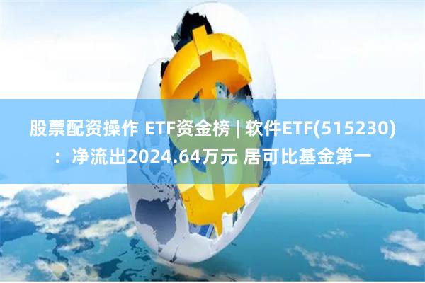 股票配资操作 ETF资金榜 | 软件ETF(515230)：净流出2024.64万元 居可比基金第一