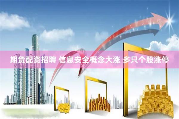 期货配资招聘 信息安全概念大涨 多只个股涨停