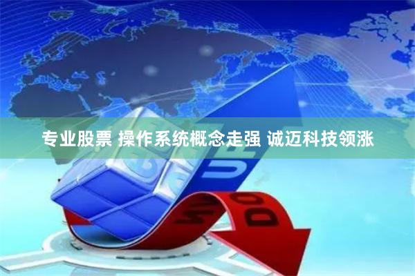 专业股票 操作系统概念走强 诚迈科技领涨