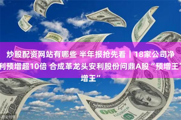 炒股配资网站有哪些 半年报抢先看｜18家公司净利预增超10倍 合成革龙头安利股份问鼎A股“预增王”