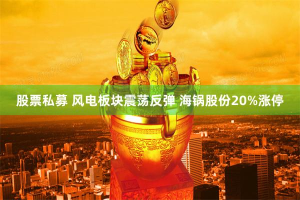 股票私募 风电板块震荡反弹 海锅股份20%涨停