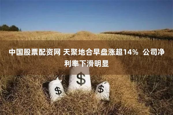 中国股票配资网 天聚地合早盘涨超14%  公司净利率下滑明显