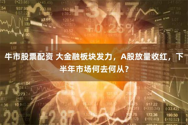 牛市股票配资 大金融板块发力，A股放量收红，下半年市场何去何从？