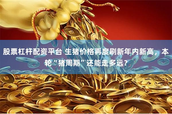 股票杠杆配资平台 生猪价格再度刷新年内新高，本轮“猪周期”还能走多远？