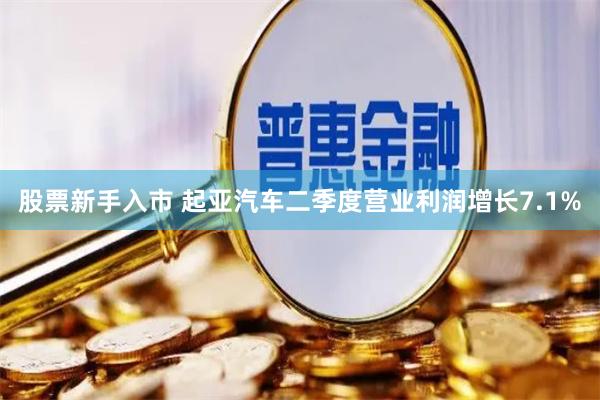股票新手入市 起亚汽车二季度营业利润增长7.1%