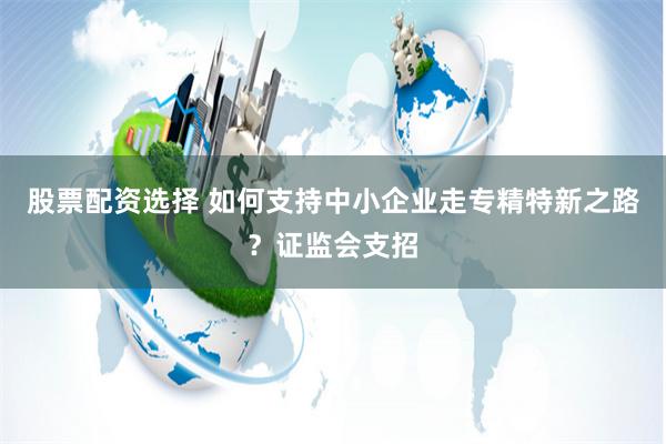 股票配资选择 如何支持中小企业走专精特新之路？证监会支招
