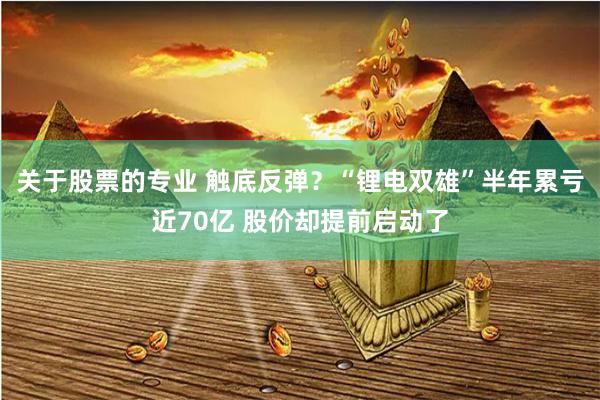 关于股票的专业 触底反弹？“锂电双雄”半年累亏近70亿 股价却提前启动了